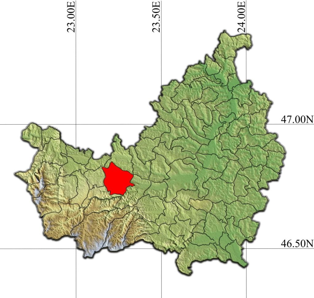 SURSE: Primarul din Căpuşu Mare vrea să-şi schimbe viceprimarul