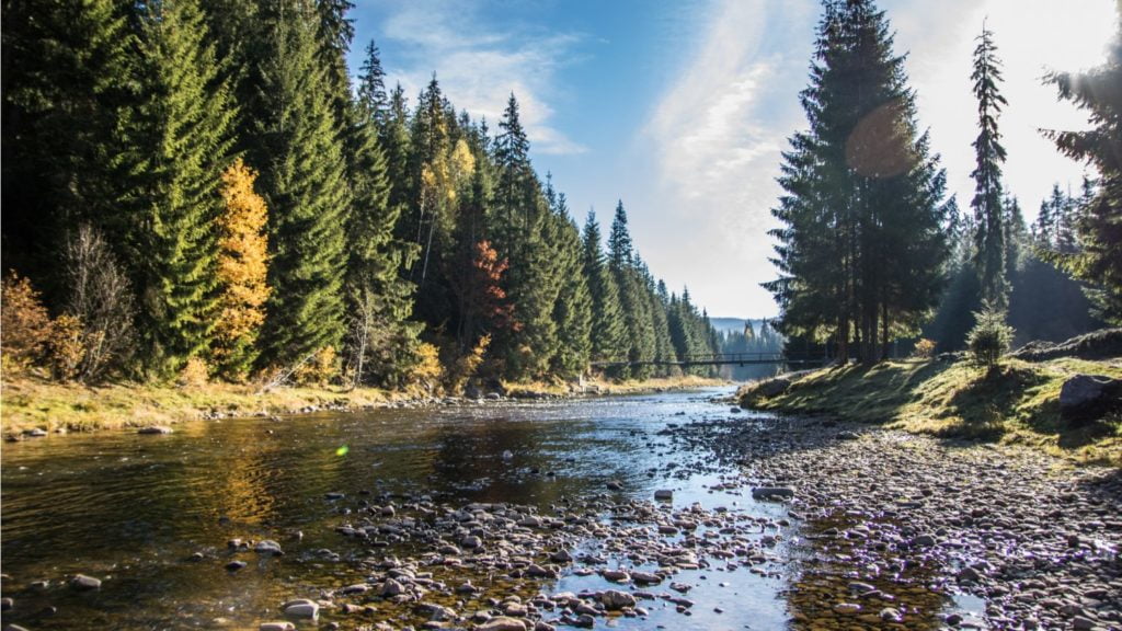 Rezervații naturale și monumente ale naturii incluse în Parcul Natural Apuseni, o varietate de ecosisteme,  de la platouri carstice cu doline și peșteri adânci!