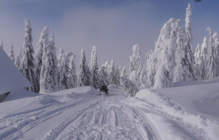 Stâna de Vale din Bihor este îngropată în zăpadă care este în unele zone și de DOI METRI !