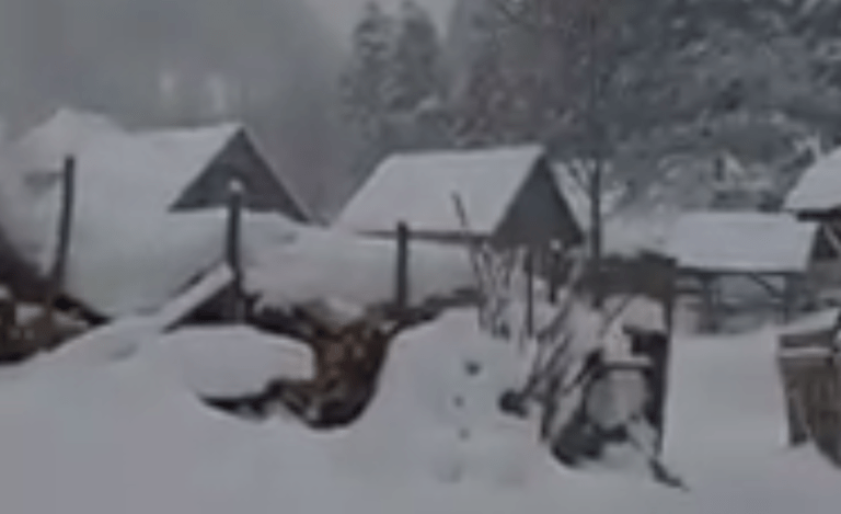 Ninge nebunește de frumos în Apuseni! La Roșia Montană zăpada este mare!