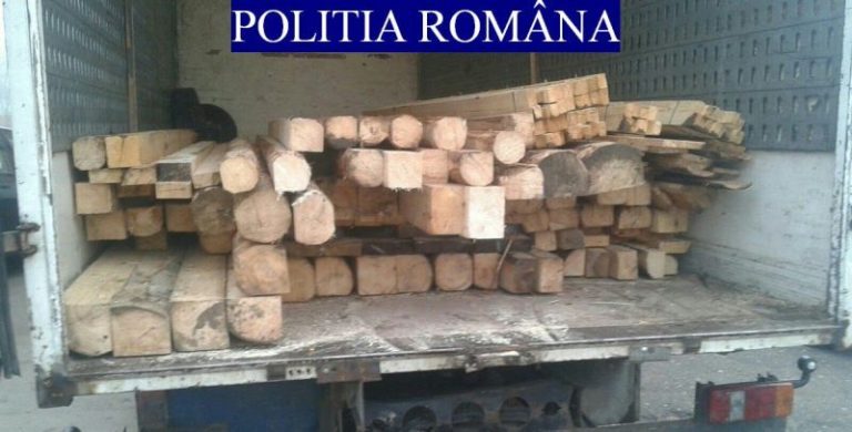 Polițiștii din Câmpeni au confiscat 5 metri cubi de material lemnos transportat ilegal