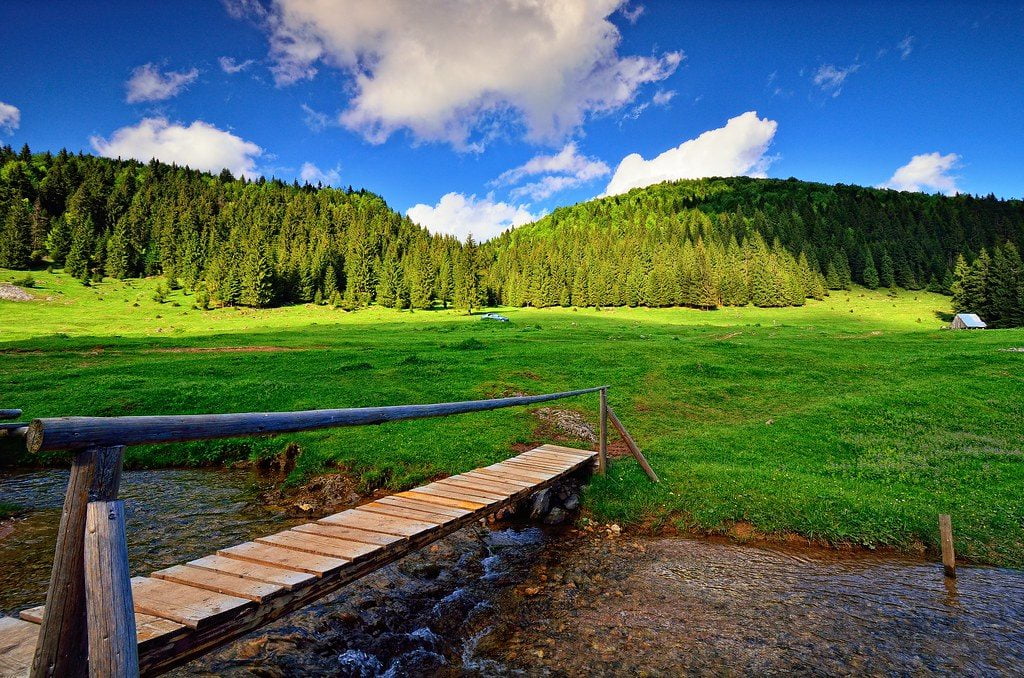 Administraţia Parcului Natural Apuseni a depus peste 1000 de plângeri penale pentru construcţii ilegale realizate în zone din parc!