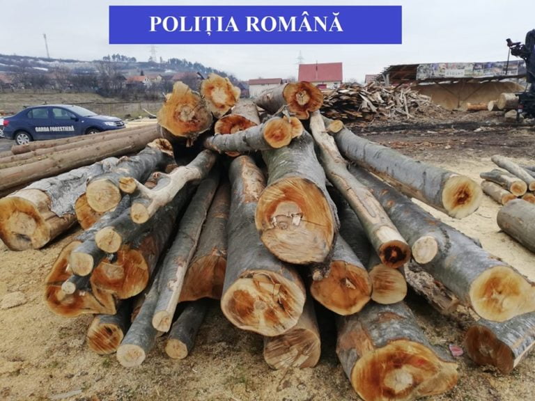 Un pădurar din cadrul Ocolului Silvic Gilău a fost trimis în judecată sub control judiciar pentru dare de mită!