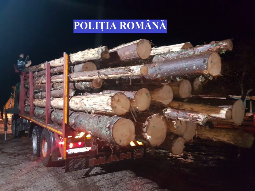 Transporturile de lemn din pădure pe timp de noapte au fost interzise