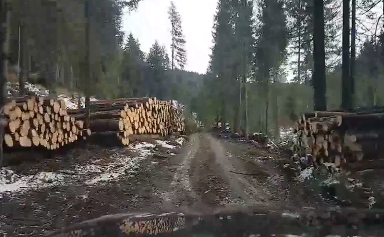 Ministrul Costel Alexe confirmă: În Valea Drăganului au existat și o serie de tăieri fără avize legale de exploatare
