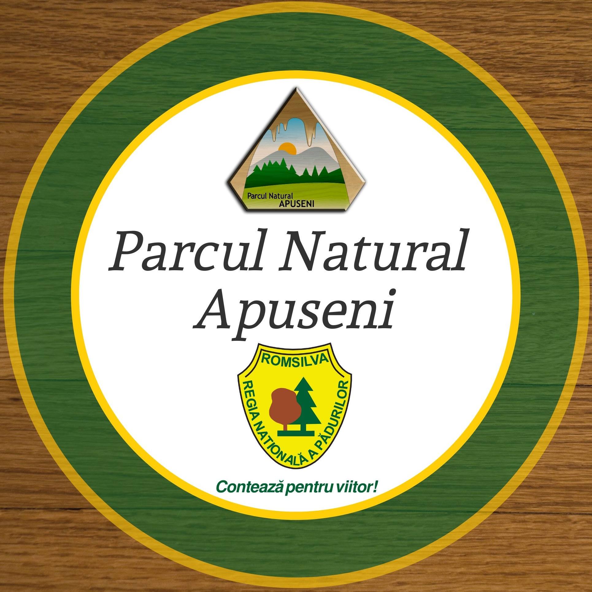 Parcul Natural Apuseni organizează Concursul Tinerilor Vizionari: Care sunt școlile înscrise din Țara Moților?