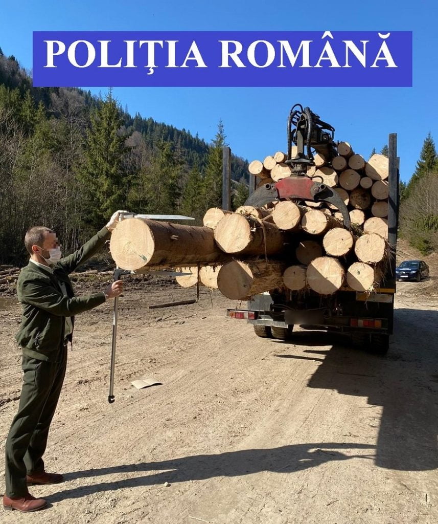 Polițiștii clujeni și specialiști din domeniul silvic au acționat în zona de munte de lângă Turda și de lângă Huedin: 7 sancțiuni contravenționale, în valoare de peste 36.000 de lei!