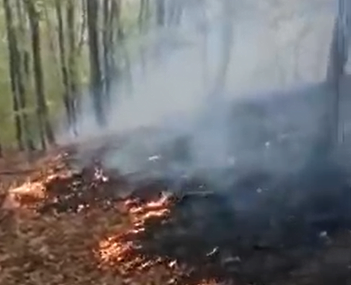 Incendii de pădure în Apuseni, la Poșaga, Bistra și Ocoliș!