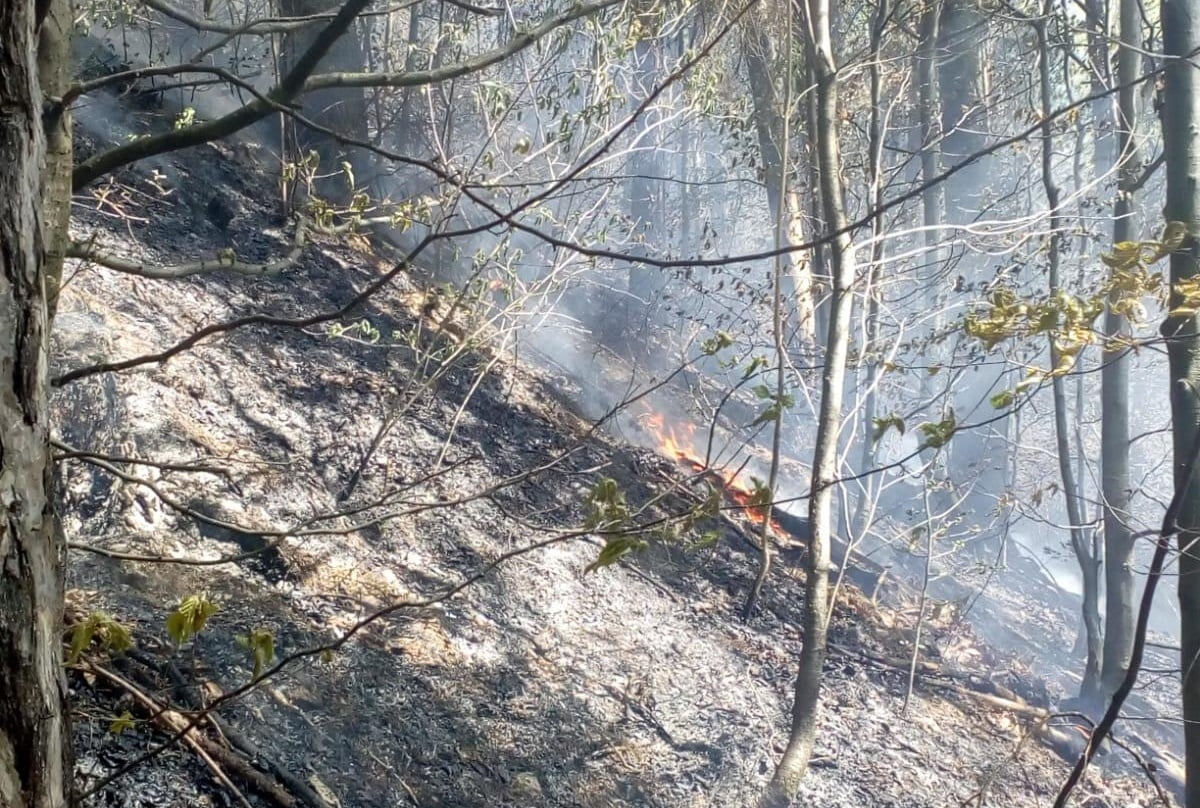 Pompierii  din Huedin au intervenit pentru a stinge un incendiu în Săcuieu