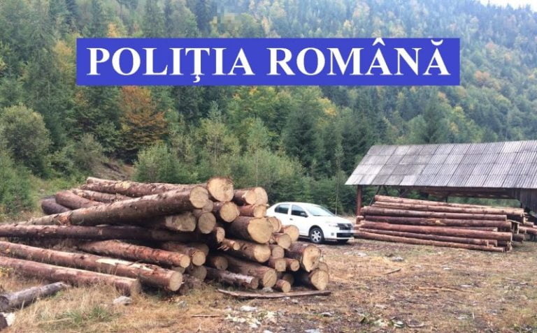 La Cluj continuă tăierea ilegală de arbori din pădure! În doar trei, zile polițiștii au confiscat material lemnos și au dat amenzi de 10.000 euro!