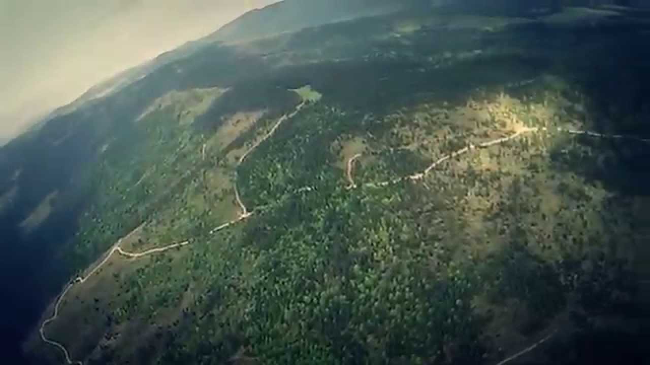 (VIDEO) ROMSILVA arată  pădurile frumoase ale Parcului Natural Apuseni. Nu arătă și zonele defrișate! Ne iau de proști?