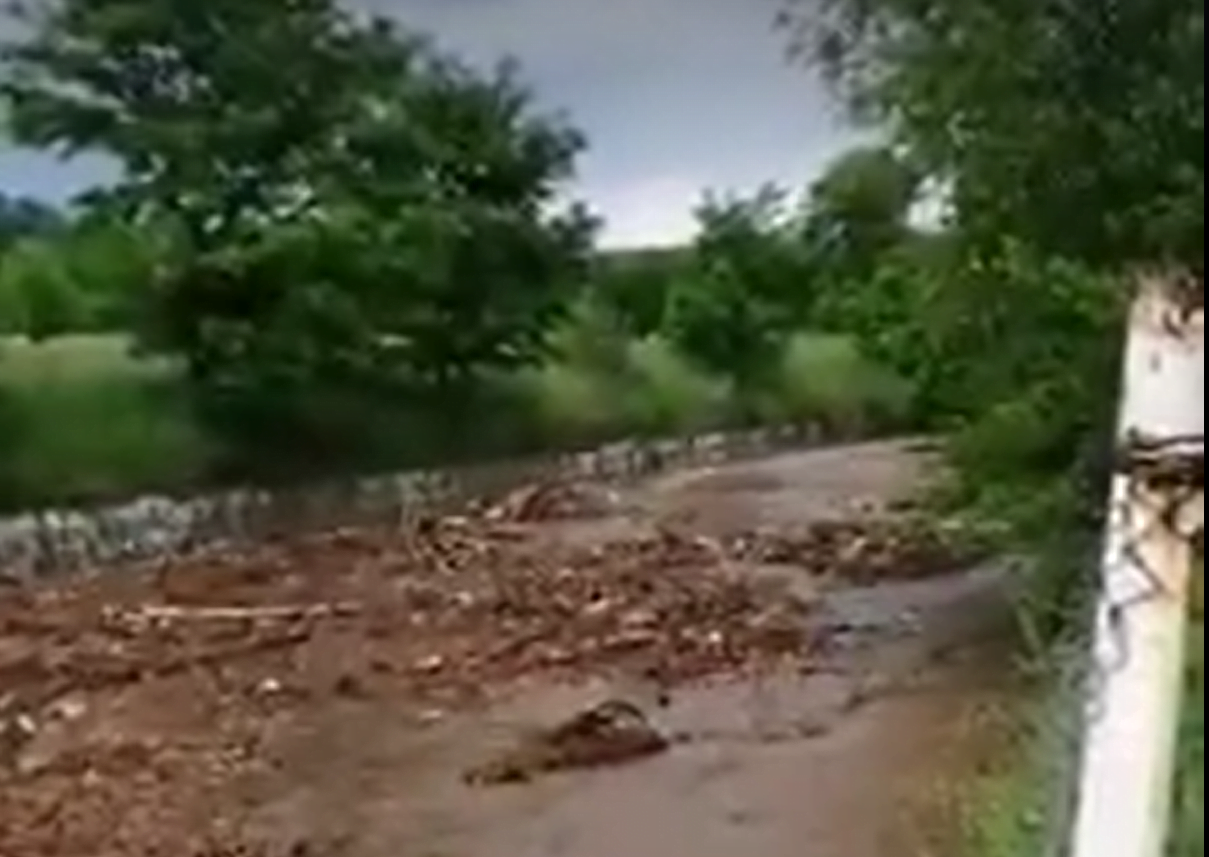 VIDEO, INUNDAȚII: Furia naturii pe râul Călățele, în Sâncraiu! Viitura a adus sute de bușteni!