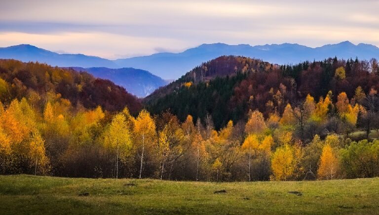 Vreme caldă în toată luna septembrie, inclusiv în zona Munților Apuseni
