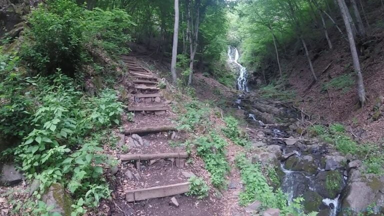 Cascada Săritoarea, o cădere spectaculoasă de apă în  Apuseni! A fost sculptată în roci vulcanice andezitice