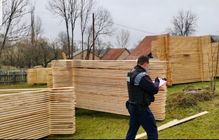 Zeci de metri cubi de lemn confiscați în Mărgău de polițiștii din Huedin
