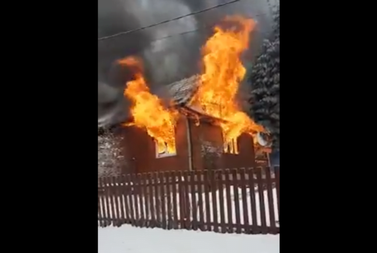 (VIDEO) Incendiu în Muntele Băișorii: O cabană a ars complet!