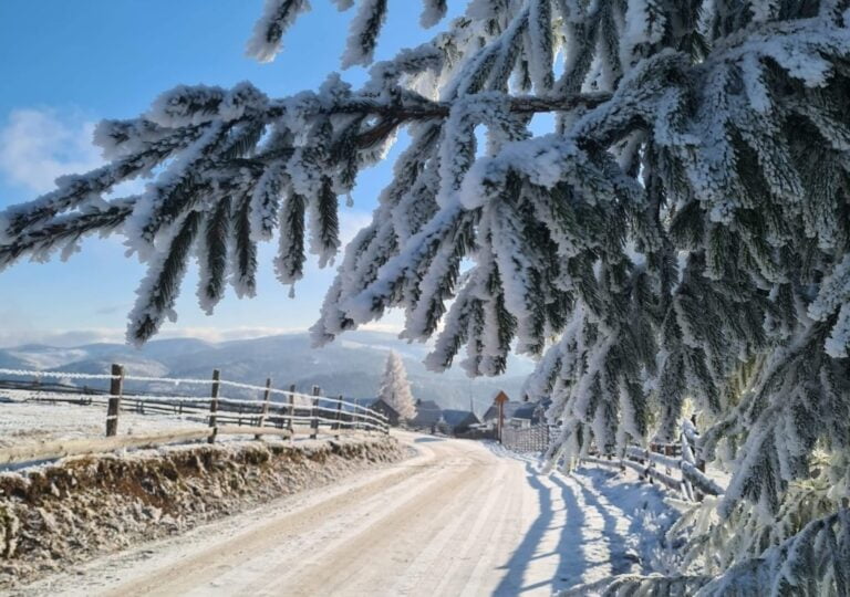 (FOTO) Raiul zăpezii din Măguri Răcătău: Fotografii de vis din inima Apusenilor