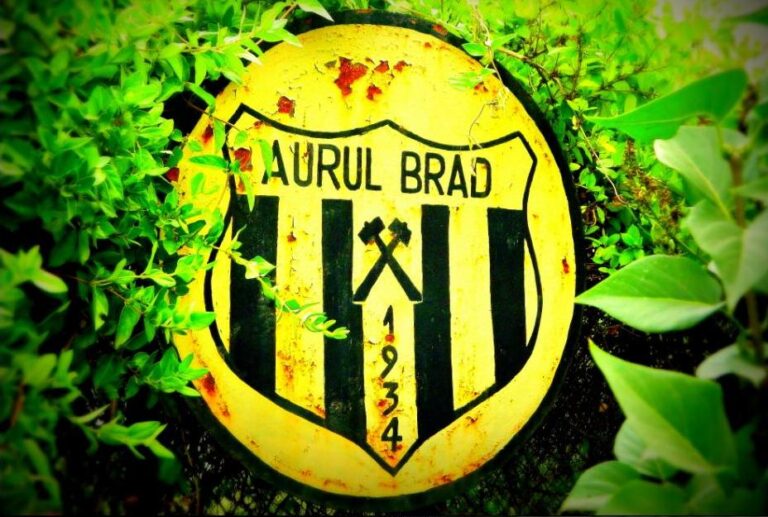 Oare marii businessmani din Brad pun de o chetă să susțină un simbol important al Bradului?