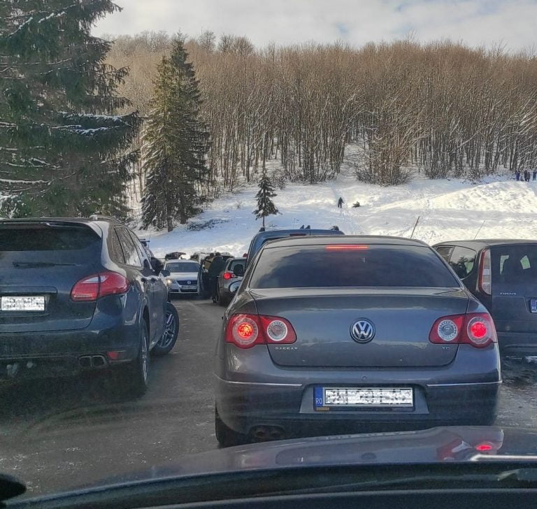 Bihorean supărat din cauza aglomerației spre Vârtop sau Stâna de Vale: Să rămână microbuzele în Budureasa și să se urce ca în Austria și Elveția cu microbuzele!