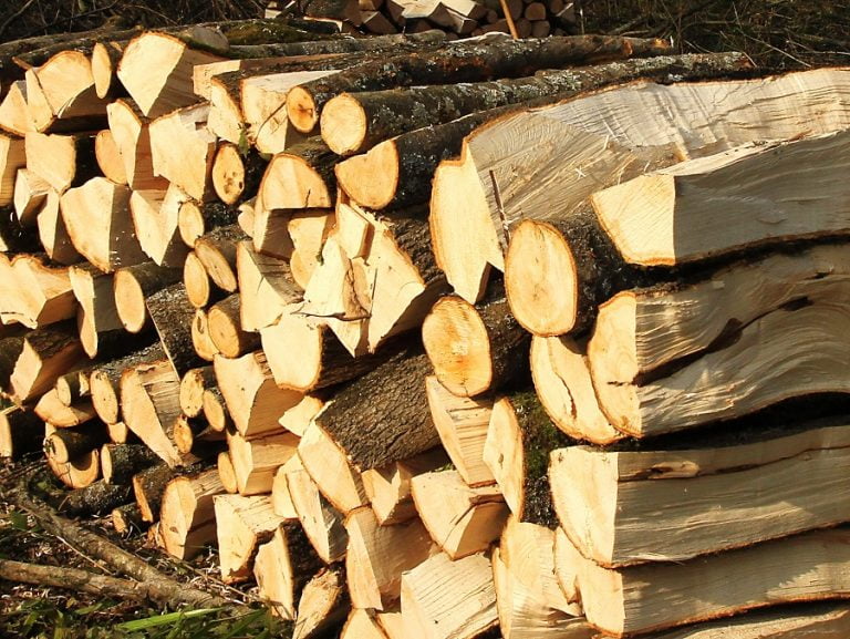 Peste 111 metri cubi de lemne, expediate fără documente legale de 2 societăți din Hidișelu de Jos și Sâmbăta!