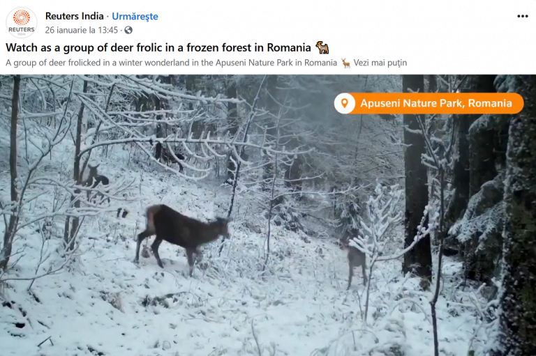 Jocul căprioarelor din Apuseni a ajuns în INDIA!!! Reuters India a preluat videoclipul Parcului Natural Apuseni!