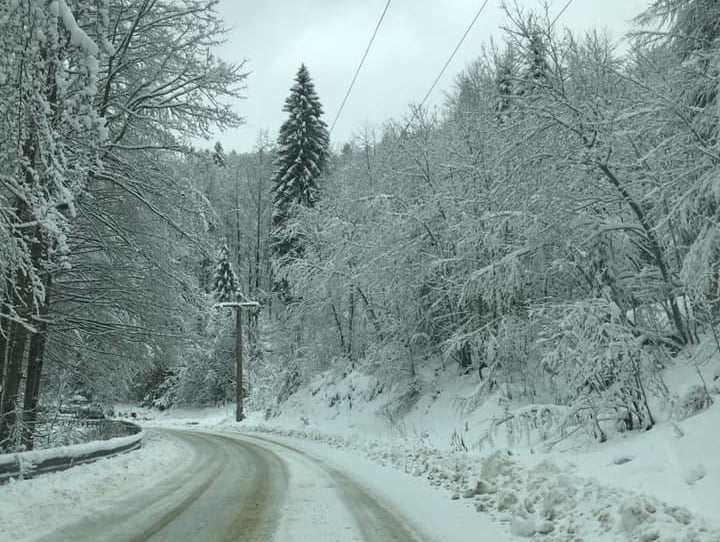 Atenție șoferi: Urcarea spre Padiș din Bihor este dificilă!