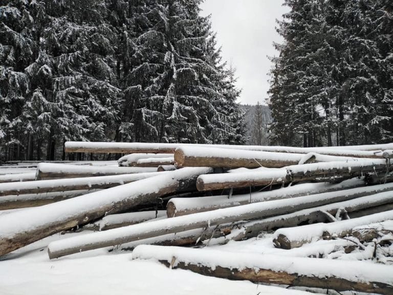 (FOTO) Diaspora Europeană Oficial: Ce am găsit în Someșul Rece, Marișel, Beliș, Horea, toată Țara Moților, ne-a lăsat un gust amar!