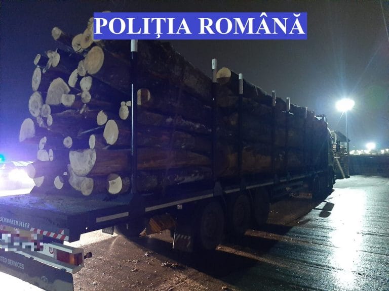 (VIDEO) Lotul „TIR-ul cu lemne de la Barajul Tarnița”: 30 de metri cubi de lemn au fost  confiscați, plus DOSAR PENAL!