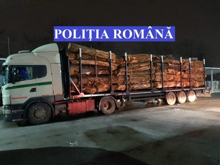 (VIDEO) Un TIR plin cu lemne a fost depistat de poliție în zona barajului Tarnița, apoi oprit în Gilău! Ce a ieșit la controlul poliției?