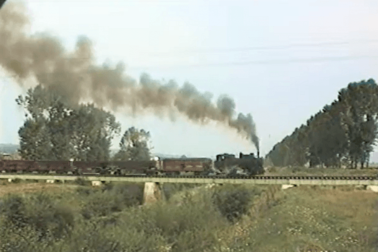 VIDEO din 1995 cu Mocănița Brad – Crișcior