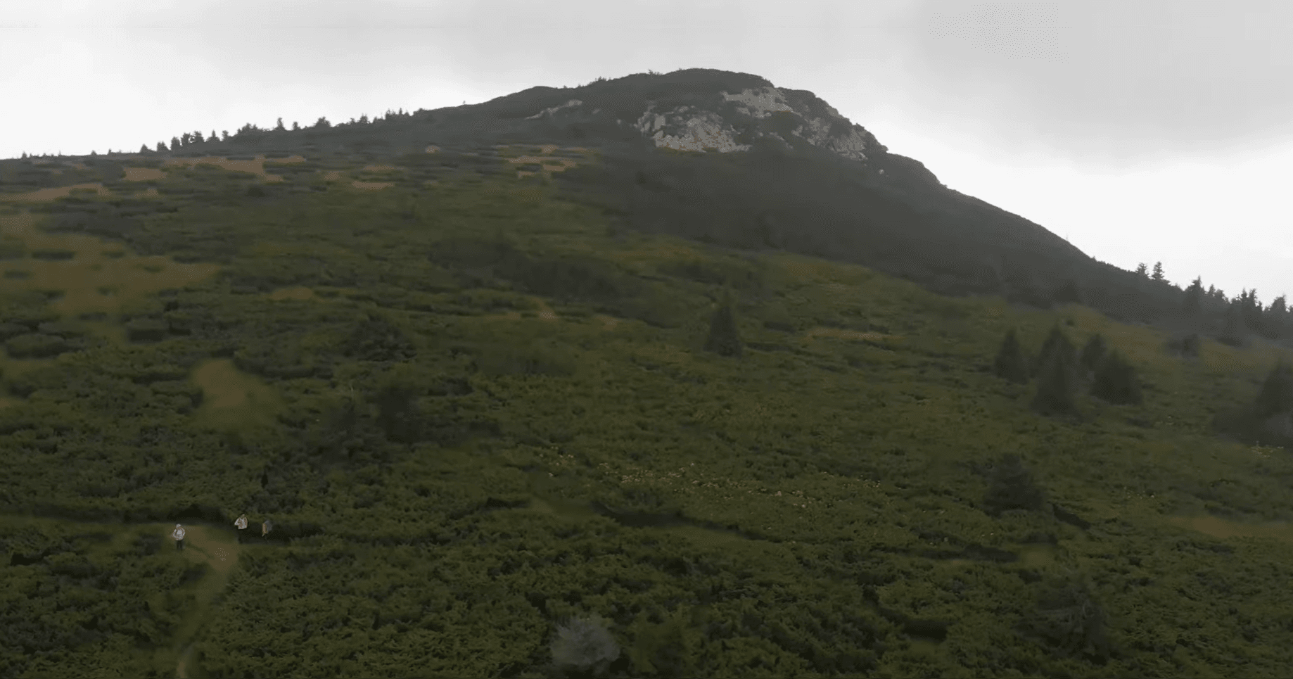 Excursie de primăvară în Apuseni – Vârful Buteasa, Pietrele Albe, Vlădeasa