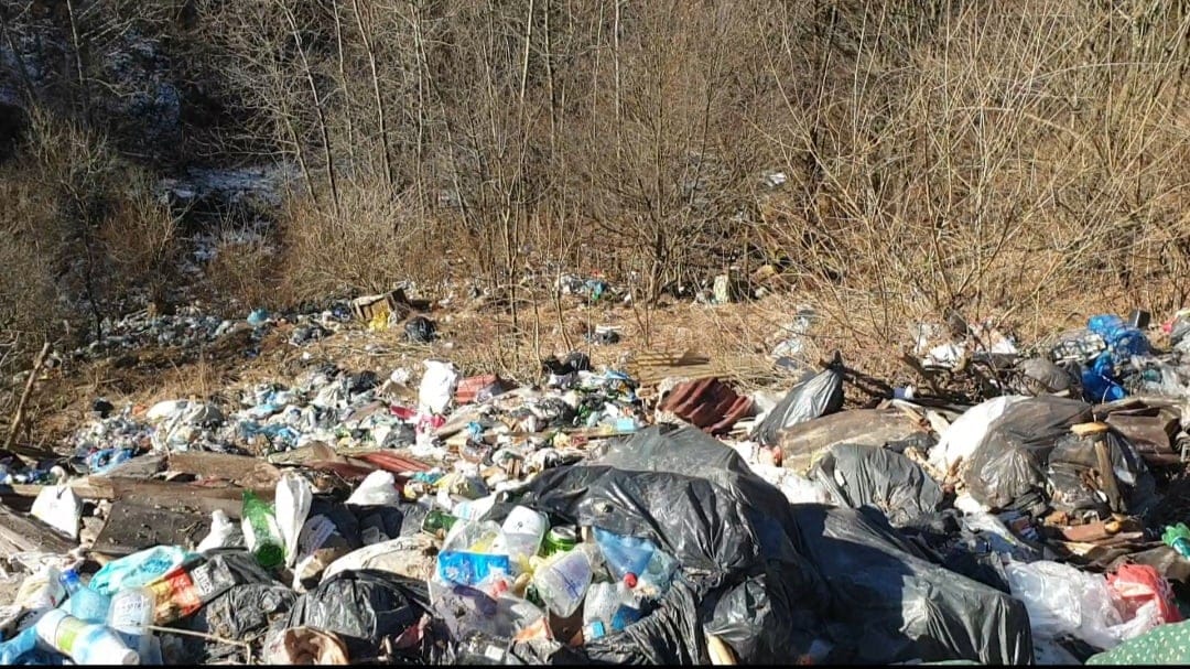 50 de metri cubi de gunoaie aruncate de NESIMȚIȚI în albia unui afluent al Someșului Rece