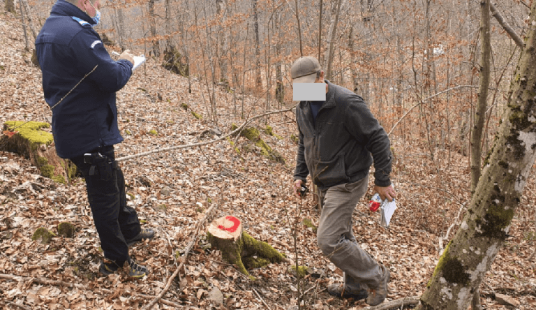 Un bărbat a fost prins când tăia ilegal arbori dintr-o pădure din Ribița! Cum „l-au premiat” jandarmii?