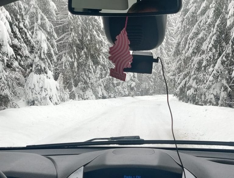 Atenție șoferi: DN 1R nu este curățat de zăpadă și pe alocuri sunt brazi căzuți pe drum!