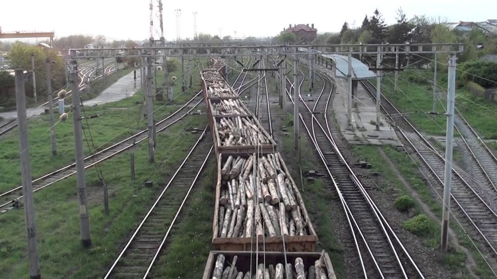 STOP exportului de masă lemnoasă!