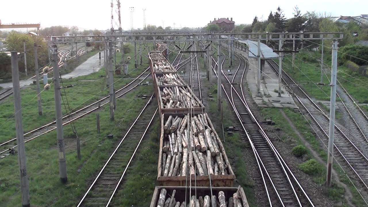 Guvernul pune lacăt la exportul de lemn din România, inclusiv în Uniunea Europeană