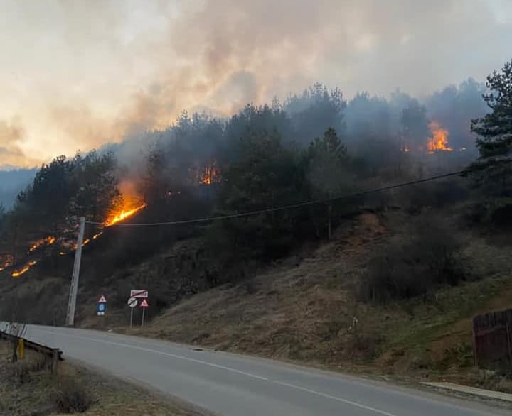 (VIDEO) Aseară a ars pădurea dintre Săcel și Băișoara: Pompierii și CERT Rescue au intervenit!