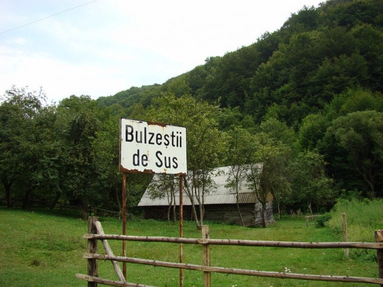 Un pădurar a fost bătut în pădure, în Bulzeștii de Sus, de 5 hoți de lemne, din Brad și Bulzeștii de Sus