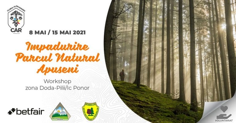 Acțiune de împădurire în Parcul Natural Apuseni, în zona Doda-Pilii – Ic Ponor