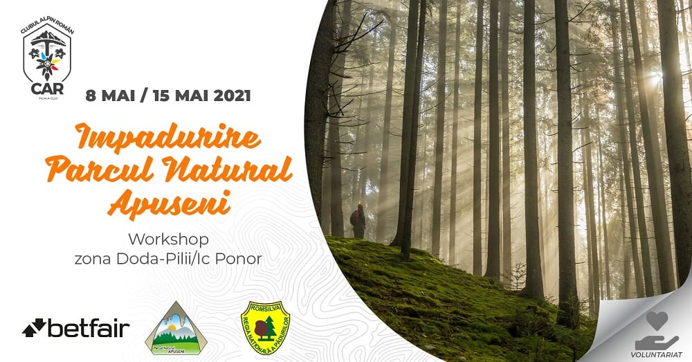 Acțiune de împădurire în Parcul Natural Apuseni, în zona Doda-Pilii – Ic Ponor
