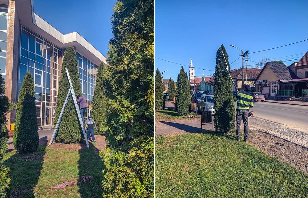 Cristian Feieș: Am început lucrările de întreținere a spatiilor verzi din Sebiș