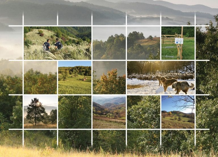 Premianţii concursului școlar online „Comorile naturii 2020” organizat în zona Munților Metaliferi din Hunedoara și Alba