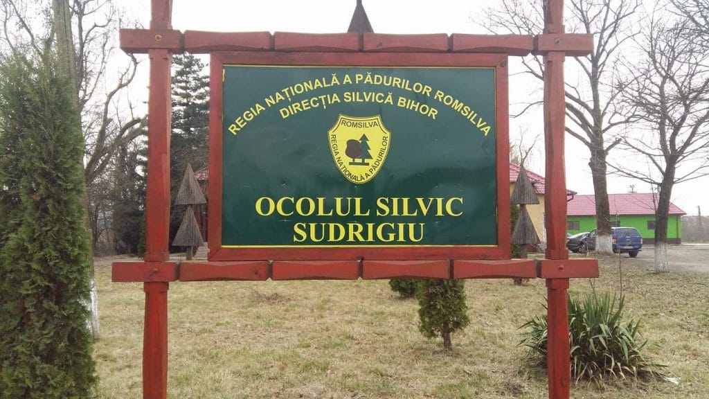 Studenții de la UBB vor avea acces la ocoalele silvice Romsilva în scopuri educaționale și de cercetare