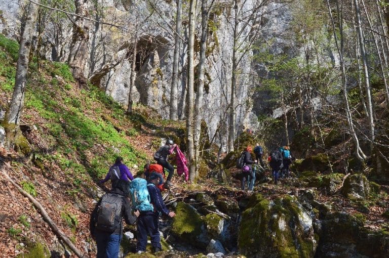 Excursie pe Valea Iadei, Munții Pădurea Craiului