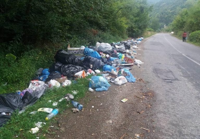 (VIDEO) Gunoaie aruncate la marginea drumului în Bihor și Apuseni: Amenzi de 70.000 lei!