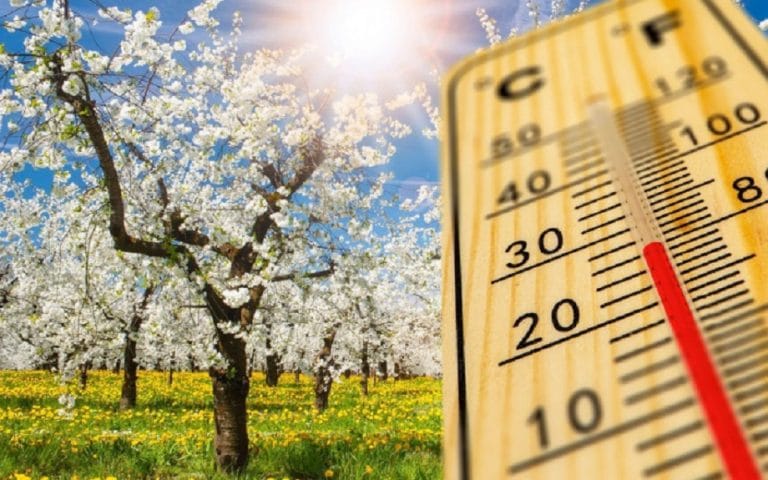 De joi, 28 aprilie, VINE VARA în Apuseni: De PAȘTI, maximele vor atinge 20 – 22 de grade!