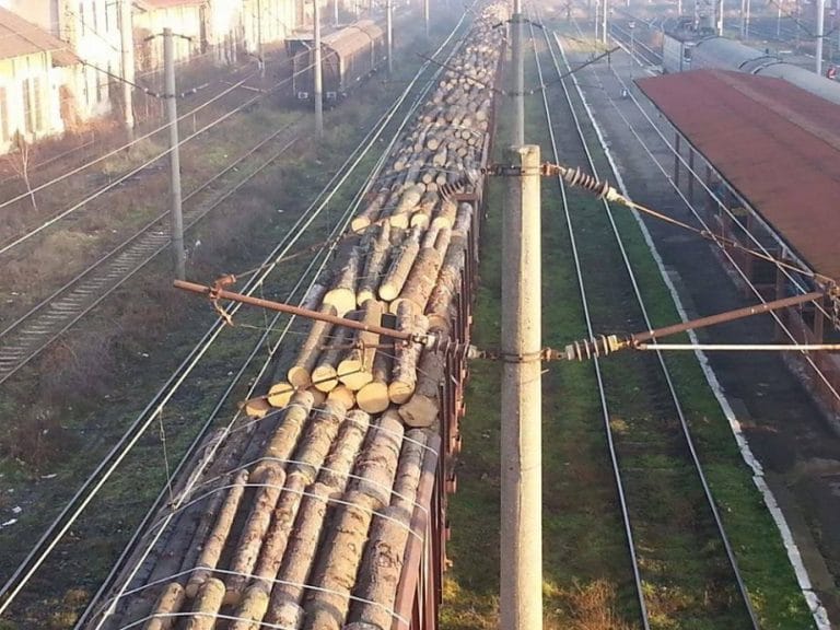 Semnează și tu petiția: STOP exportului de masă lemnoasă!