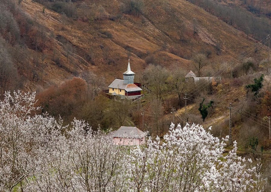 Luni, 26 aprilie, curățenie generală la cimitirul din satul Stoieneasa, comuna Vălișoara