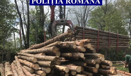 780 de controale și verificări pentru protejarea pădurii în 7 – 13 mai: Au întocmit 184 de dosare penale