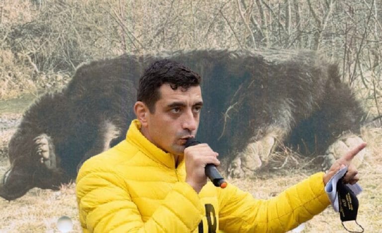 George Simion (AUR) cere urmărirea penală a prințului austriac care a ucis cel mai mare urs din România